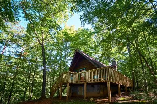 Gatlinburg Adventure Cabins photo 214