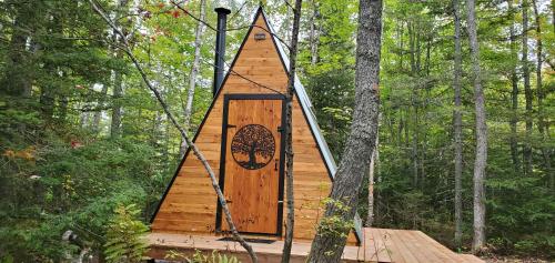 La Cabane Secrète – Fotografie 2