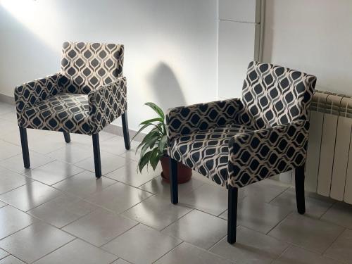 um par de cadeiras sentadas ao lado de uma planta em CALAFATE WIFI Depto 2 personas em El Calafate