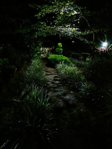 a path in a garden at night at Edgestay in Mudigere