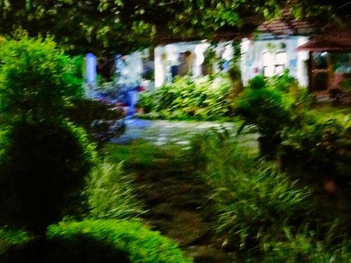 a painting of a yard with bushes and a house at Edgestay in Mudigere