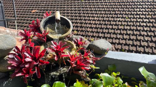 a water fountain with red flowers in front of a wall at Chakra Tavern in Bedugul