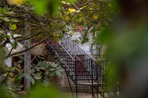 アルーシャにあるChristina Houseのギャラリーの写真