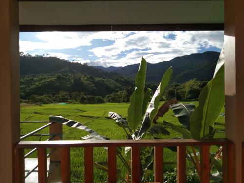 Landskap semula jadi dekat dengan vila ini