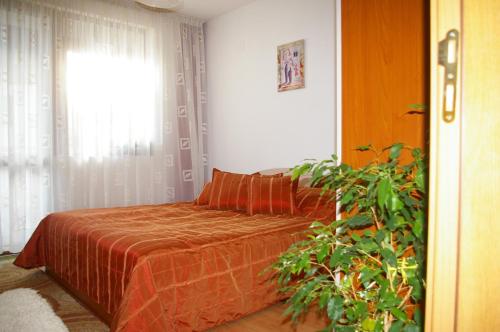 Un dormitorio con una cama y una ventana con una planta en Nevena Apartments, en Bansko