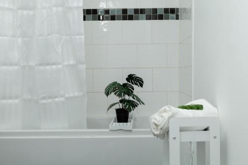 a bathroom with a plant in a bath tub at Silver Apartment 2 Bed Flat Leicester City Centre in Leicester