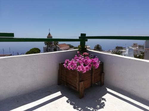 a planter filled with pink flowers on a balcony at I MITI ViviendaVacacional in Chio