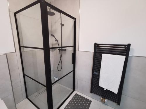 a shower with a glass door next to a mirror at Renovierte Ferienwohnung in Nienburg Erichshagen in Erichshagen