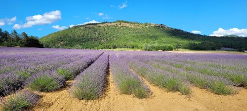 Le Jas de Volonne – Photos 2
