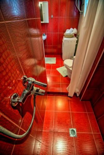 a red tiled bathroom with a shower and a toilet at Anna's House in Kastoria