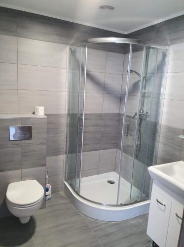 a bathroom with a shower and a toilet and a sink at Stajnia Kruki in Mrozy