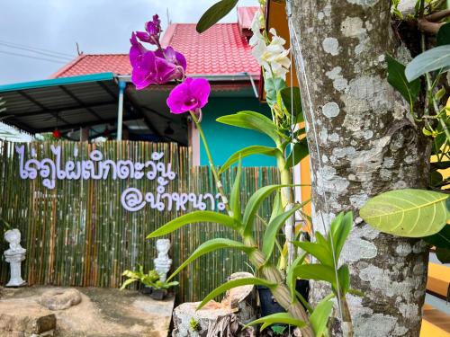 a house with a fence and flowers in front of it at บ้านภูไผ่ ไร่ภูไผ่เบิกตะวัน in Ban Nam Phang