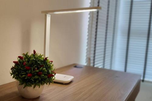 eine Vase mit einer Pflanze auf einem Tisch mit einer Lampe in der Unterkunft Kozi Square New SGH Cozy Home 8A in Kuching