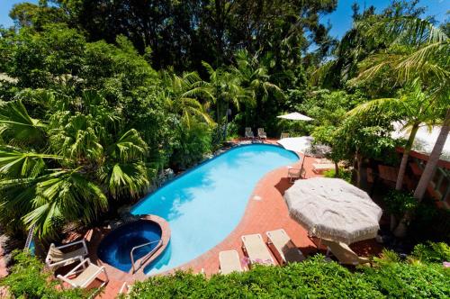 an overhead view of a swimming pool with chairs and trees at Shelly Beach Resort in Port Macquarie