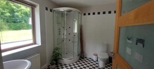 a bathroom with a shower and a sink and a toilet at Boatman's Quarters in Skibbereen