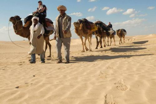 a group of people walking in the desert with camels at Maison Proche De Désert Douz in Douz