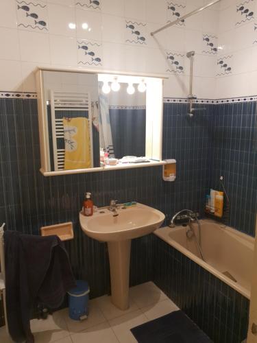 La salle de bains est pourvue d'un lavabo, d'un miroir et d'une baignoire. dans l'établissement Appartement standing front de mer Arcachon, à Arcachon
