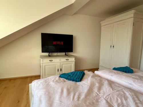 TV a/nebo společenská místnost v ubytování Apartmán Terasa u kolonády