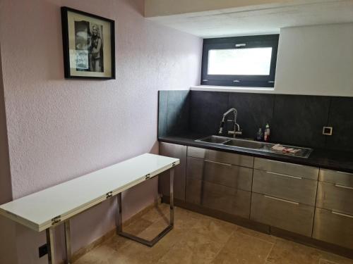 a small kitchen with a sink and a counter at La Factory in Porrentruy