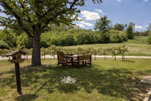 a picnic table and bench under a tree in a park at Kellerstöckl Postrumer Weinberg 48 in Kulm im Burgenland