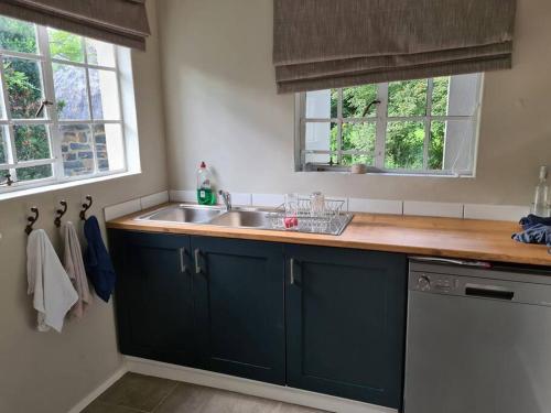 a kitchen with blue cabinets and a sink and two windows at Burnbrae Farmhouse (6 b/rooms with pool) in Himeville