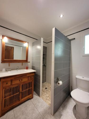 Saint-Chamasにあるle clos des sourcesのバスルーム(トイレ、洗面台、鏡付)