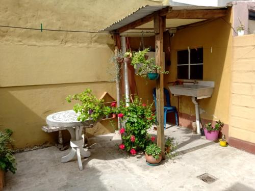 eine Terrasse mit einem Tisch und einigen Pflanzen und einem Waschbecken in der Unterkunft Naiguata in Zárate