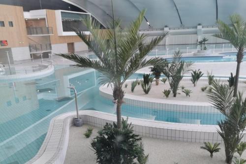 - une vue sur la grande piscine bordée de palmiers dans l'établissement Duplex Le Cachou : 10 min Aéroport de Roissy CDG - Astérix - Paris, à Moussy-le-Vieux