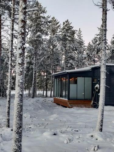 a cabin in the woods in the snow at SiikaVilla, Siikajoki in Siikajoki
