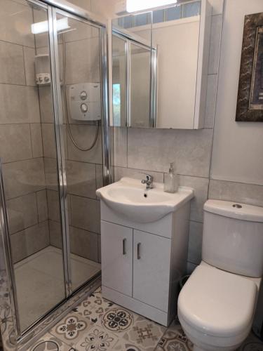 a bathroom with a toilet and a sink and a shower at Kate's Place bedroom ensuite close to Donegal town in Murlas Bridge