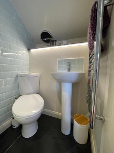 a bathroom with a white toilet and a sink at The Hayloft, Exmoor in Withypool
