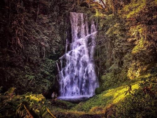 a waterfall in a forest with a person standing in front of it at D'kailash Retreat in Singaraja