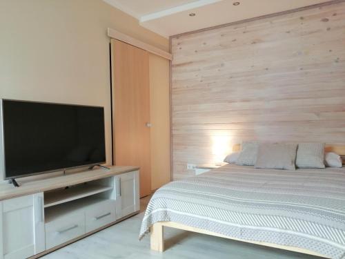 Schlafzimmer mit einem Bett und einem Flachbild-TV in der Unterkunft Apartamenti Miera Osta in Liepāja