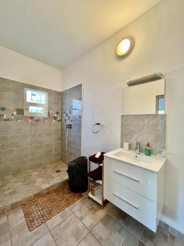 een badkamer met een wastafel en een douche bij Pamandzi l'Escale Airport in Pamandzi