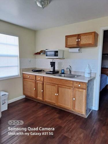 a kitchen with a sink and a microwave at Green house in Tampa