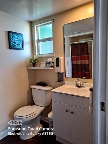 a bathroom with a toilet and a sink and a mirror at Green house in Tampa
