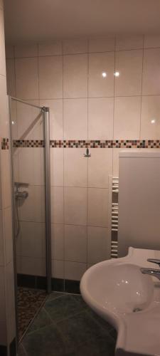 ein Badezimmer mit Waschbecken und Dusche in der Unterkunft Studio B14 in Schladming