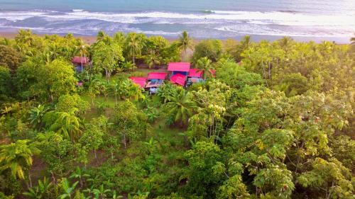 Landskap semula jadi dekat dengan hotel