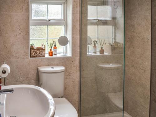 a bathroom with a shower and a toilet and a sink at Fox Cottage in Henstead