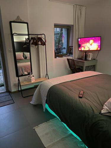 a bedroom with a bed and a mirror and a tv at Suite privée avec accès jardin en coeur de village 