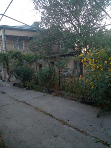 El edificio en el que está la casa de huéspedes