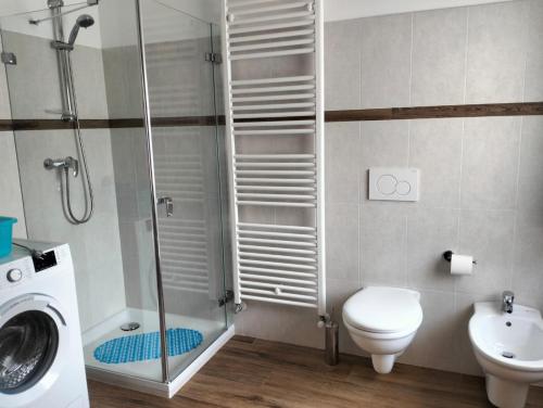 SirorにあるCasa Caterinaのシャワー、トイレ、洗面台を備えたバスルーム