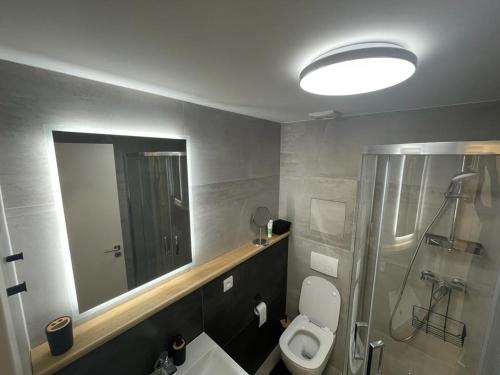 een badkamer met een toilet en een grote spiegel bij Luxury apartment Trio Harrachov A.2 in Harrachov