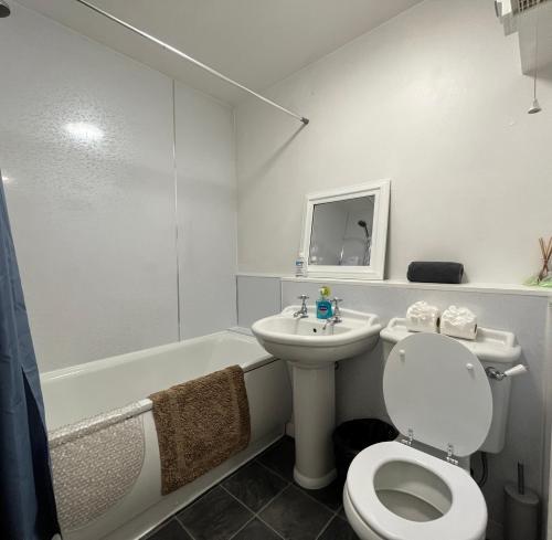 a bathroom with a toilet and a sink and a tub at River View Apartment in Elgin