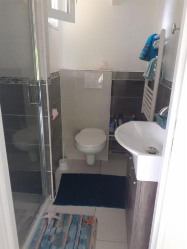 une salle de bain avec une douche, des toilettes et un lavabo dans l'établissement Maison d'hôtes indépendante à la campagne, à Ablon
