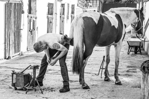 a man standing next to a horse in a barn at The Rose Suite Kenmare in Kenmare