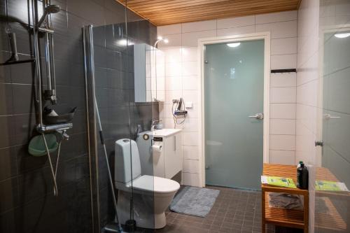 uma casa de banho com um WC, um chuveiro e um lavatório. em Villa Puistola & sauna, near Santa's Village em Rovaniemi