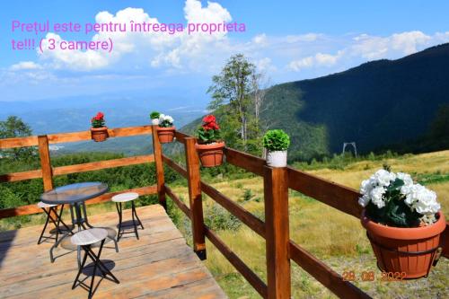 a wooden deck with a table and chairs and flowers at Cabana La Cassian in Vulcan