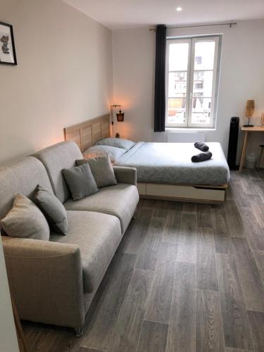 - un salon avec un canapé et un lit dans l'établissement Jolis Appartements au coeur de Clermont Ferrand - Proche Jaude - WIFI et NETFLIX, à Clermont-Ferrand