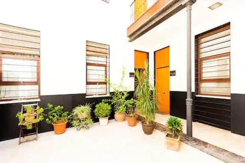 Loft zona Alameda centro Histórico